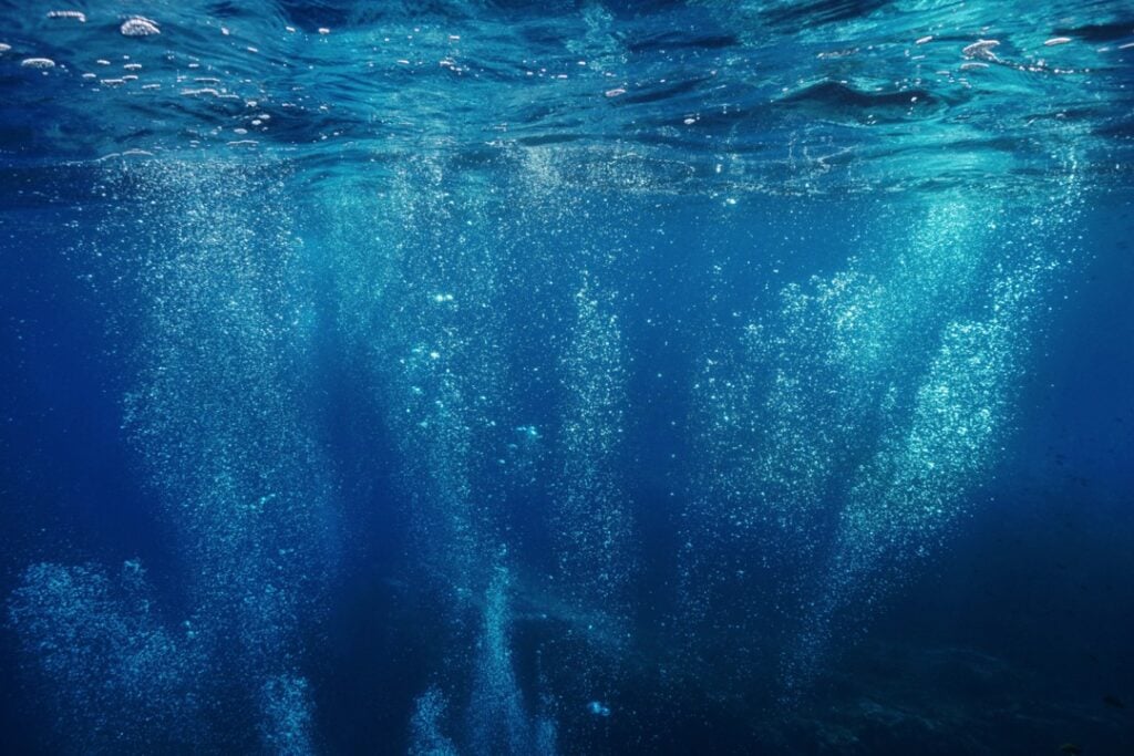 Does ZeroWater remove nitrite?