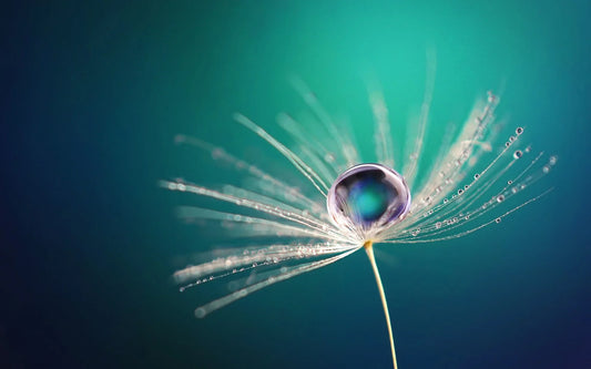 What exactly is soft water?